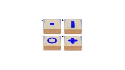Différents symboles : rond, rectangle, cercle, et croix